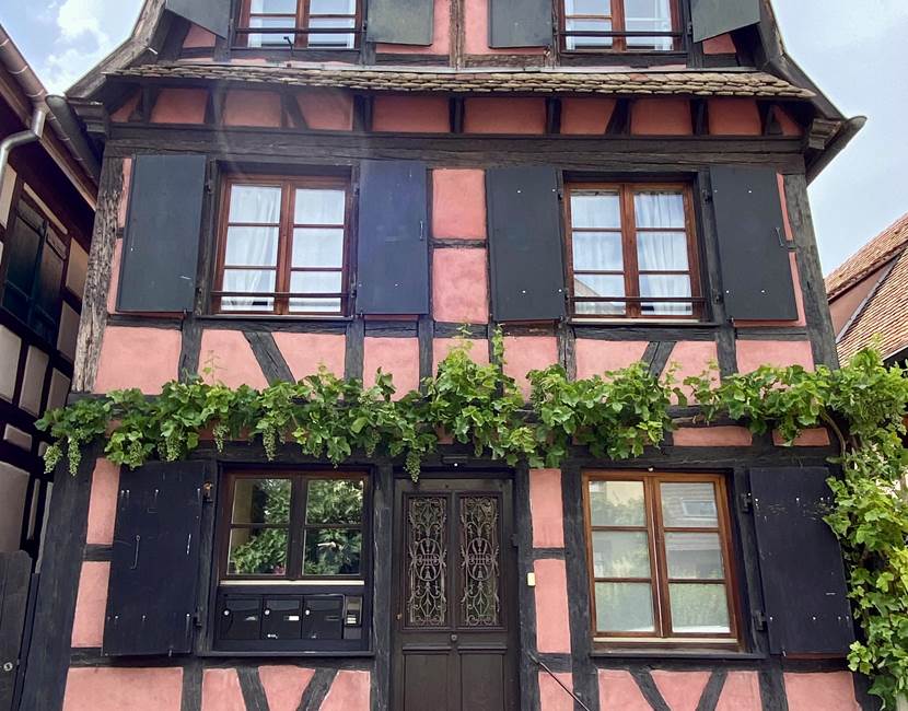 Entrée Gite du Merle ,12 rue principale