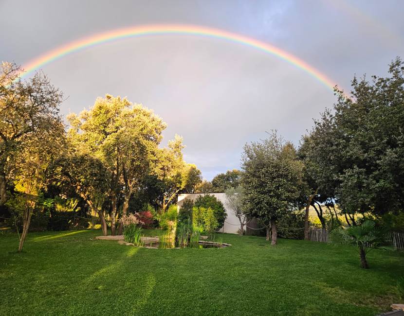 alombredelacheneraie__grand_pic_saint_loup_amoureux_nature_soleil.pdf