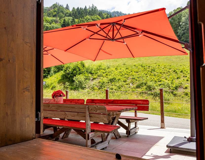 La terrasse avec vue
