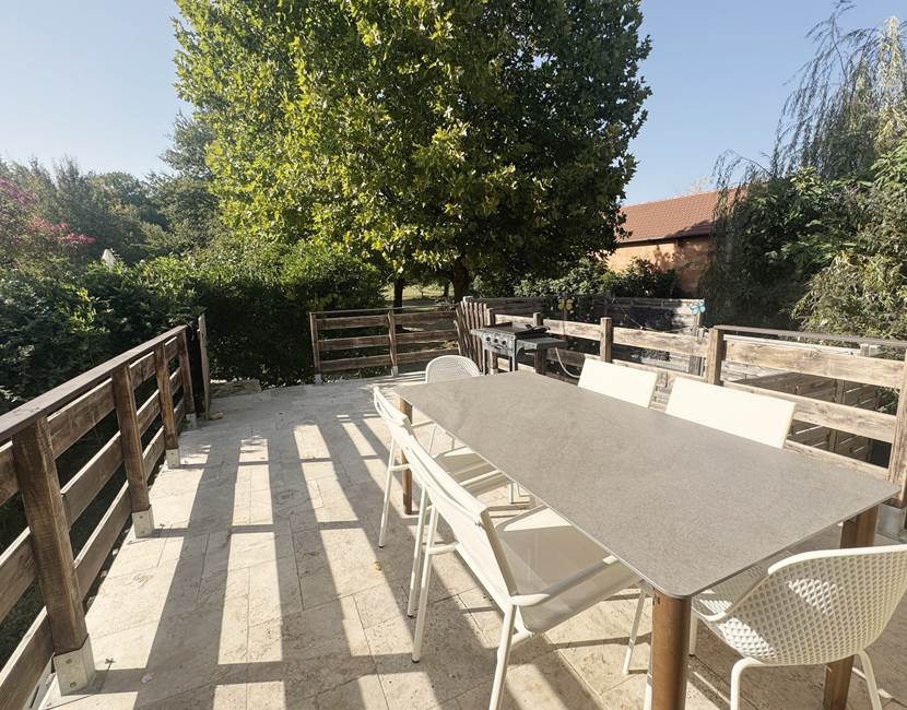 Campanule terras