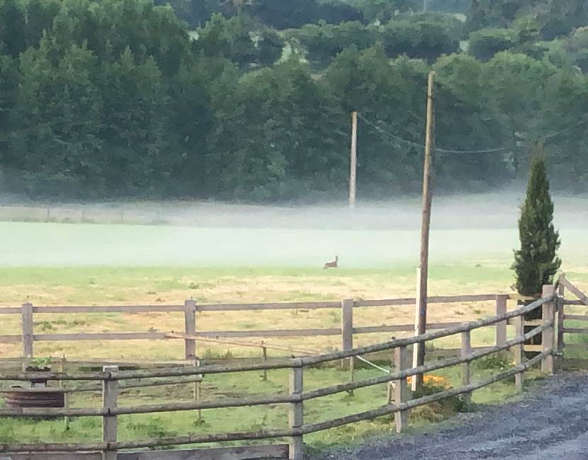vue sur la vallée de Semilly et ses chevreuils