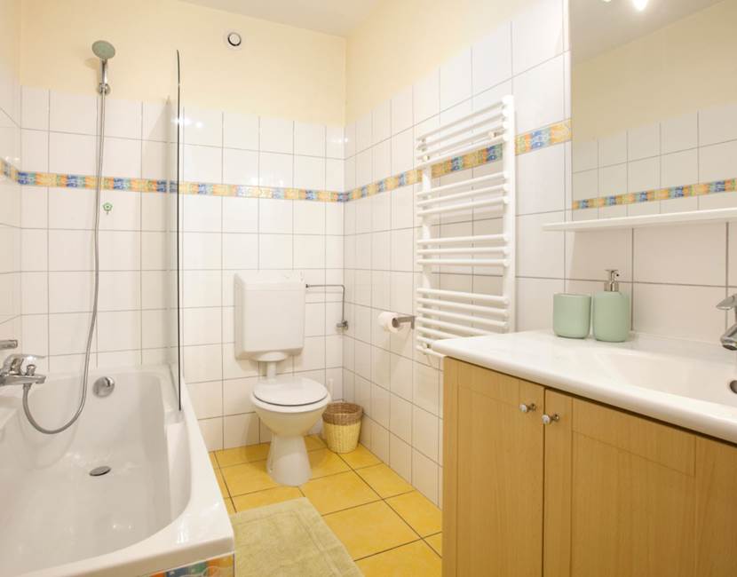 salle de bain / bathroom