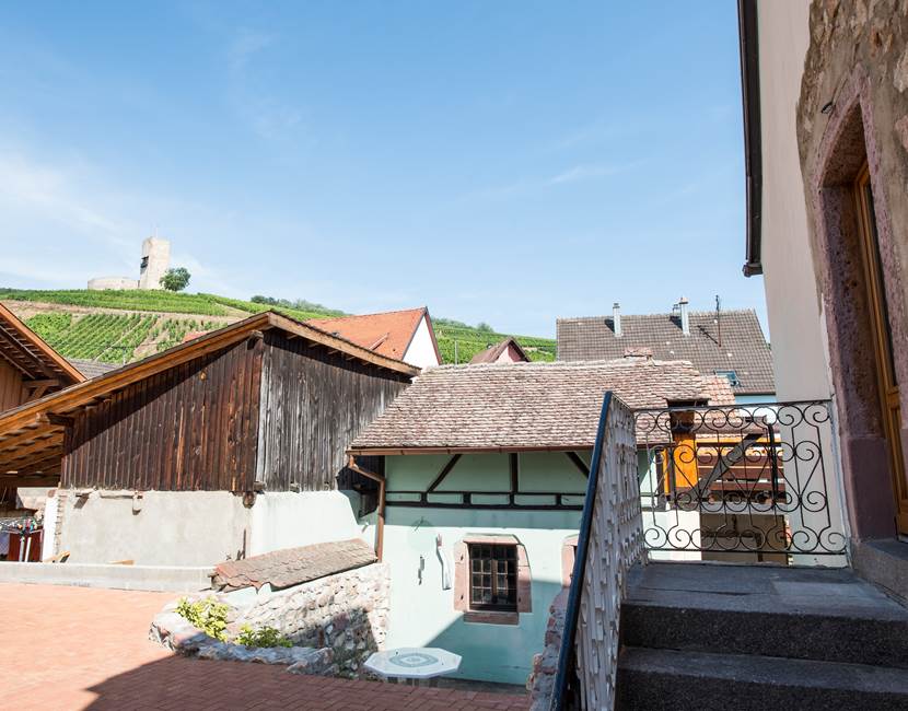 extérieur / outdoor