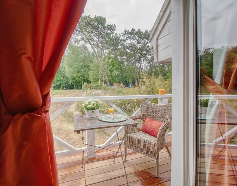Calathéa - Villa Vent Couvert - 2 - Chambres d'hôtes Le Touquet avec piscine