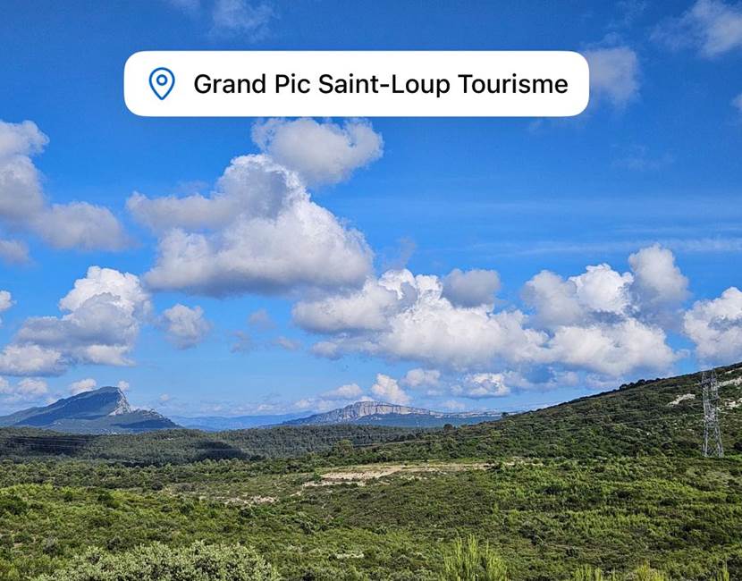 pic saint loup