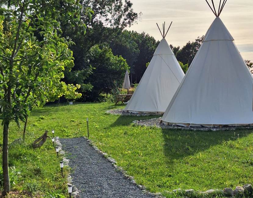 Tipis 25