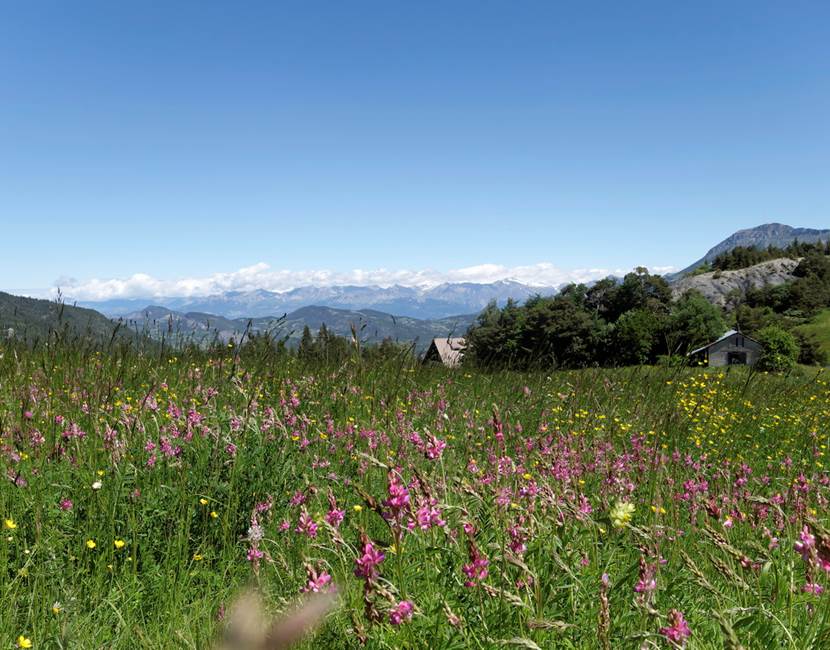 Le col d'auzet