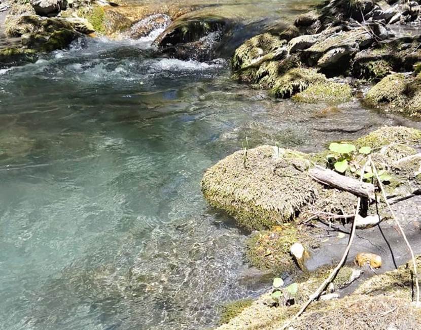 rivière de la grave