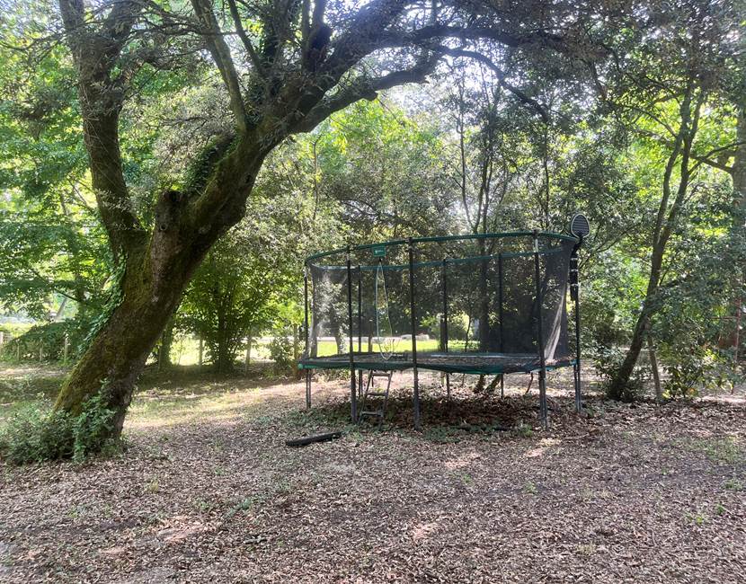trampoline