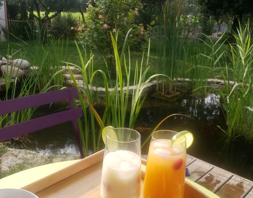 a_lombre_de_la_cheneraie_gite_spa_vignoble_aperif_grand_pic_saint_loup