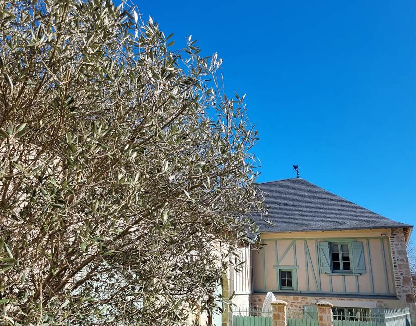 Croisée ext 1