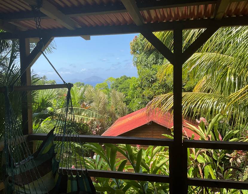 vue terrasse cocotier