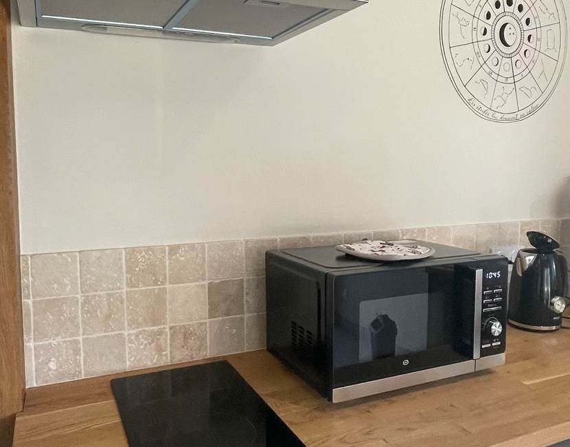 Micro-ondes, plaque de cuisson et petit frigo