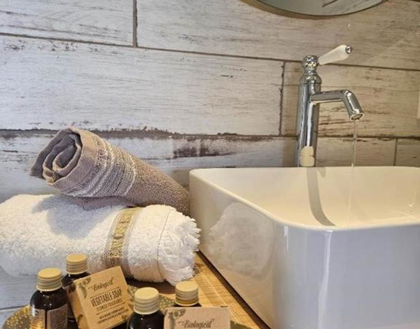 A-L'OMBRE-DE-LA-CHÊNERAIE-Studio-1-Lavabo
