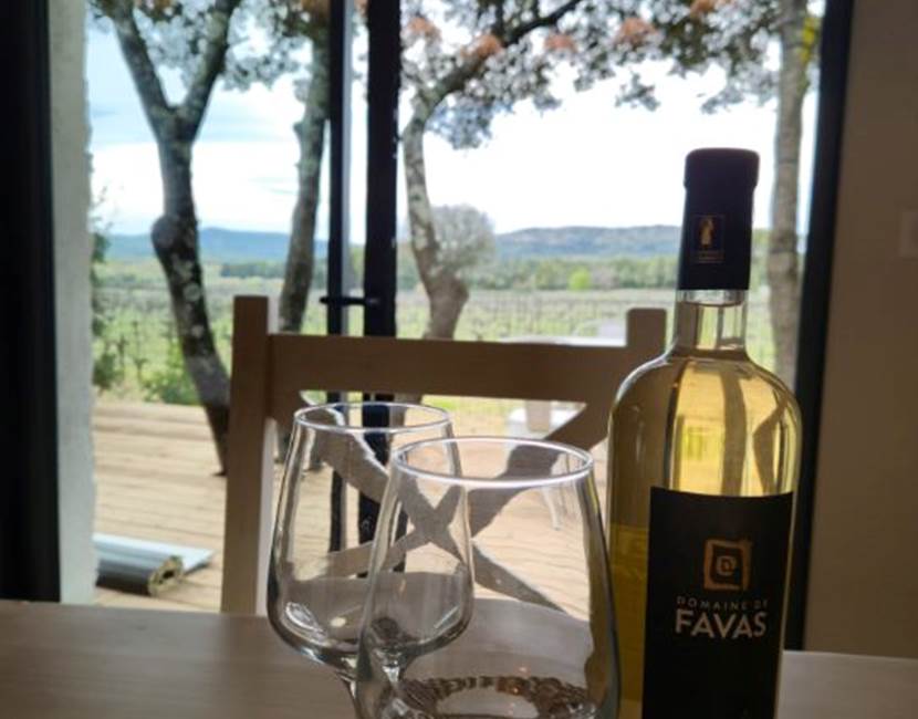 alombredelacheneraie_vue_vignoble_cuisine_grand_pic_saint_loup_tourisme_gite_les_vignes