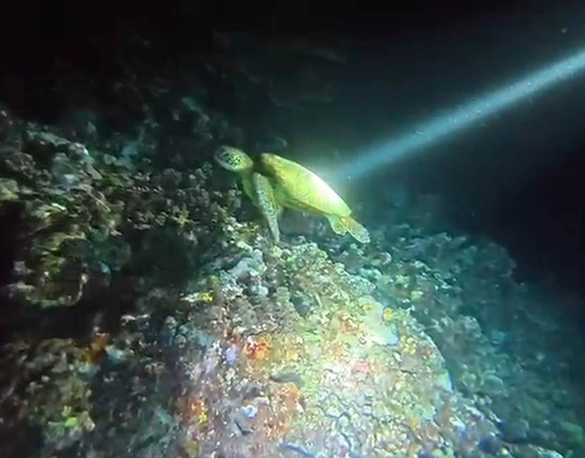 VideoCapture_20260427-125939