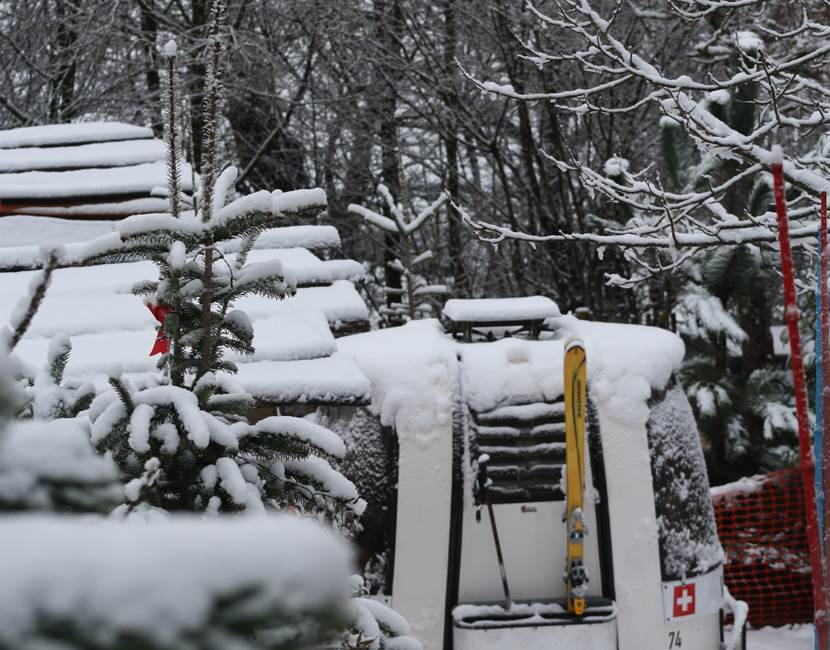 Tout schüss sous la neige