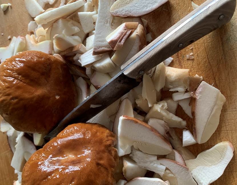 cuisine-champignons-sejour-nature