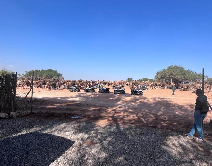 AGADIR QUAD - location de quad - Explorez Agadir en Quad pendant 2 heures!
