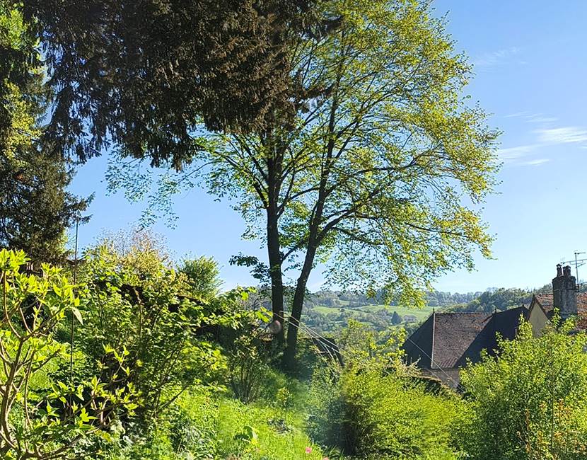 Horizon depuis le jardin