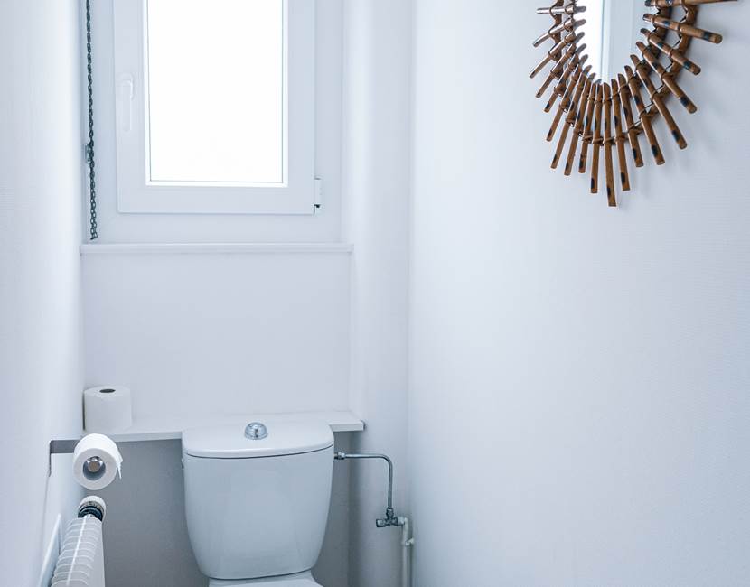 toilette / toilet