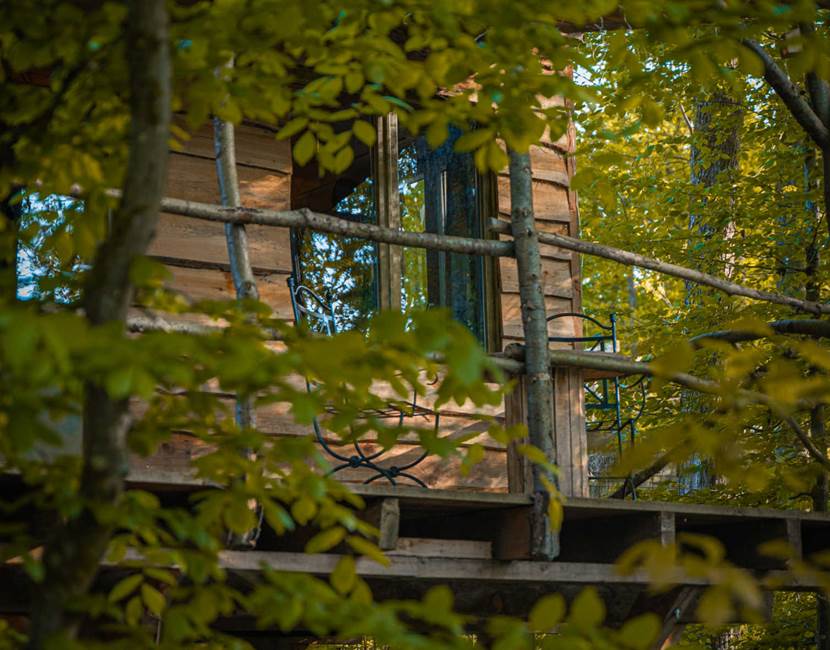cabane vue de la foret