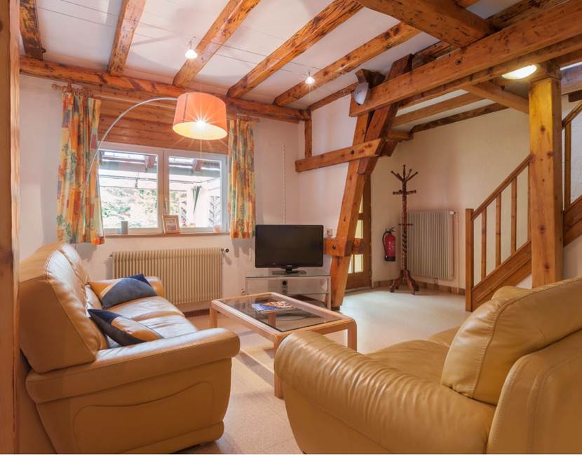 pièce à vivre / living room