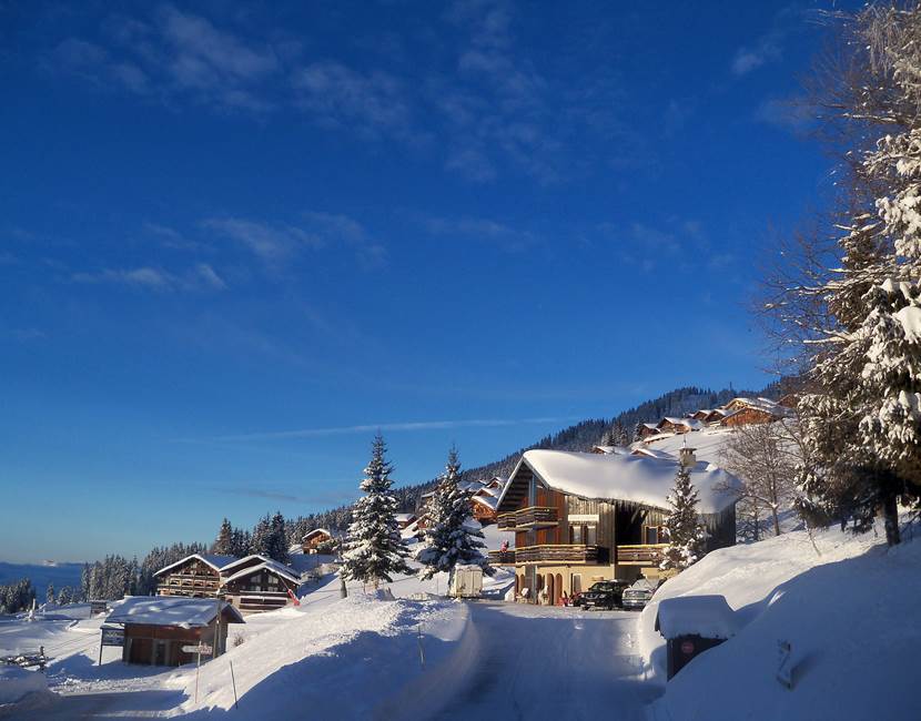 Le  chalet