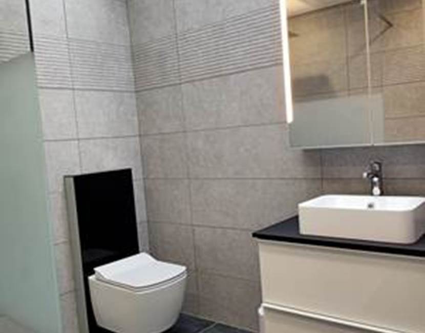 wc+lavabo (1)