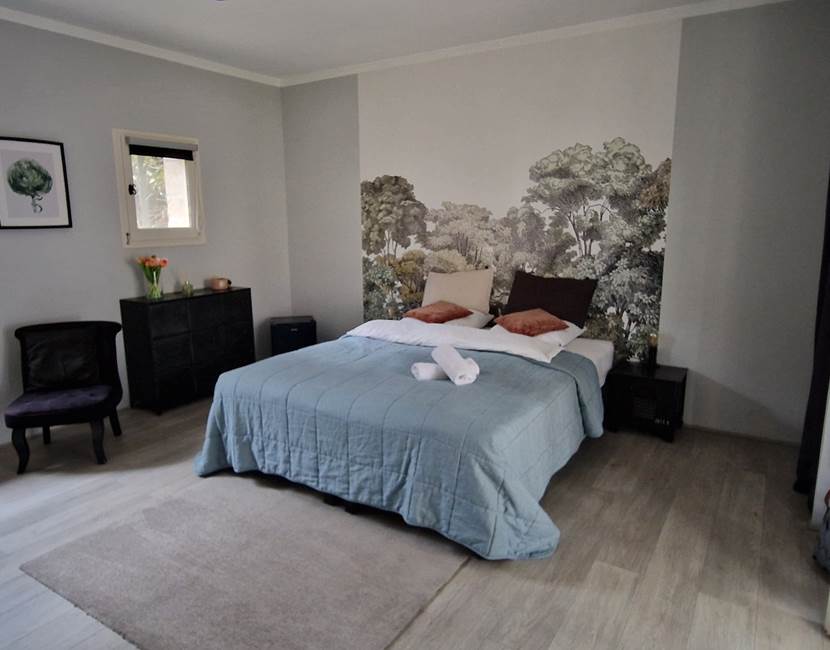Suite junior "La forêt"