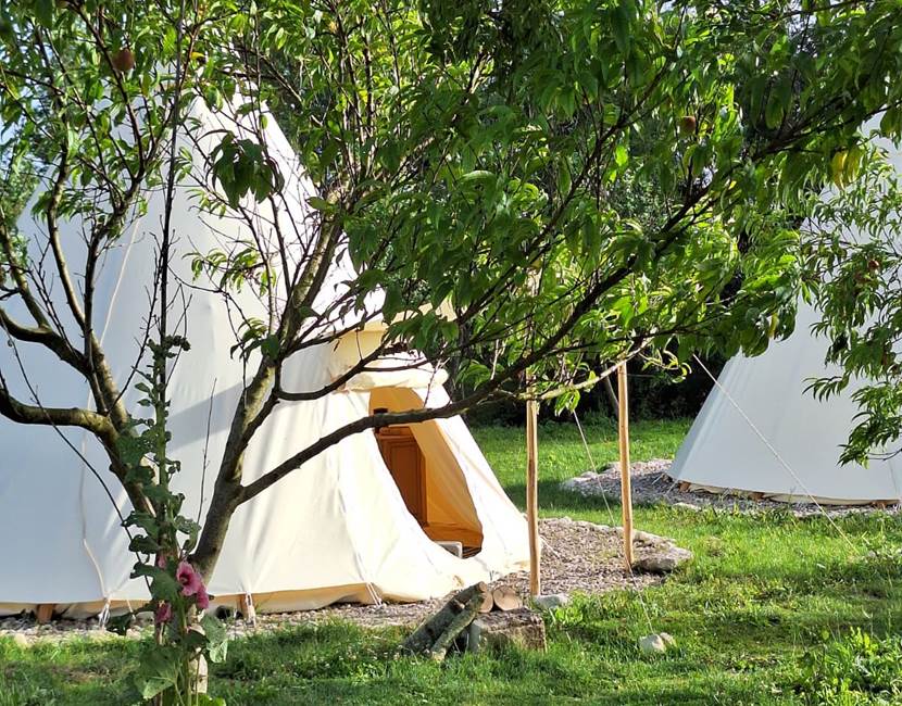 Tipis 23