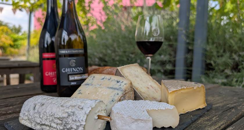 Dégustation en accord vins fromages