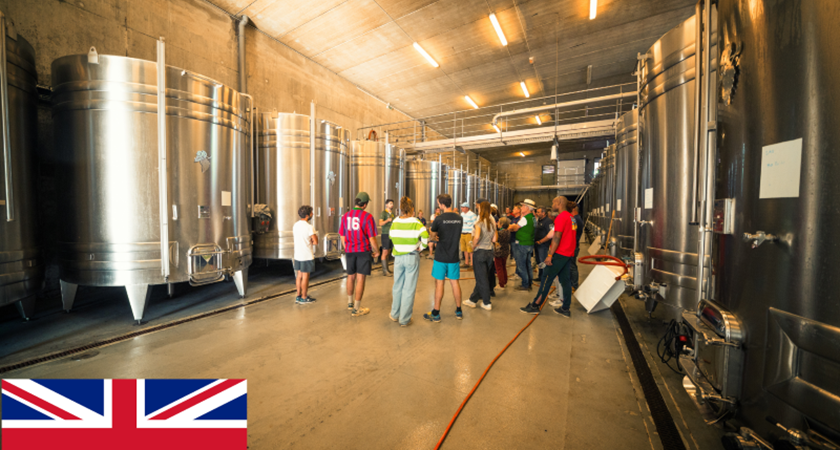 VISITE DECOUVERTE EN ANGLAIS