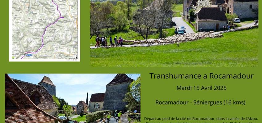 Transhumance