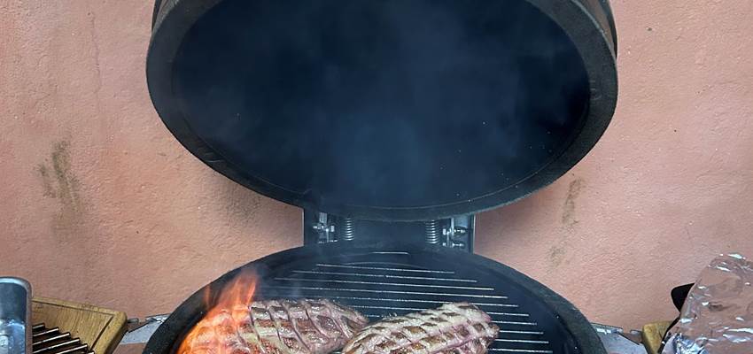 En plat : du magret grillé au barbecue