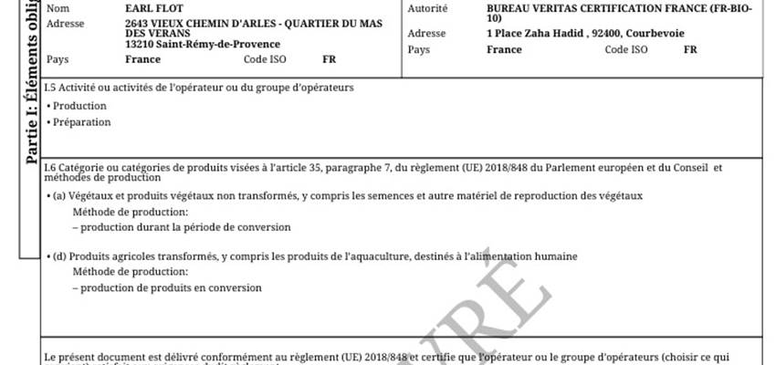 Sans titre