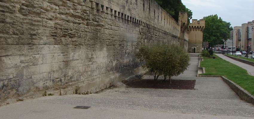 Avignon remparts