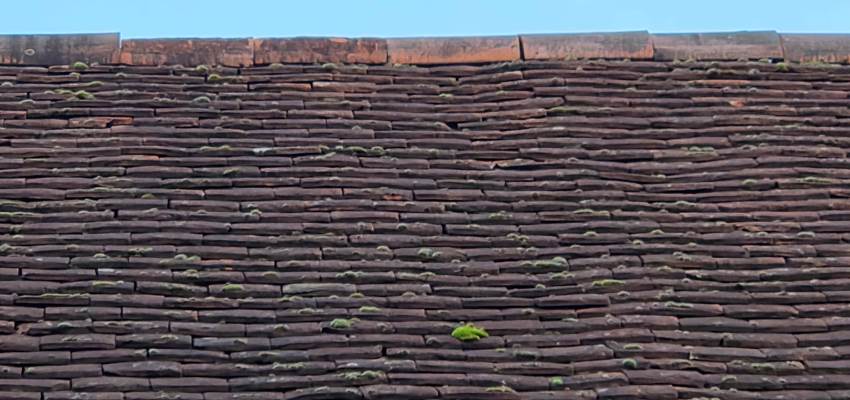 Vérifier l'état d'une toiture !