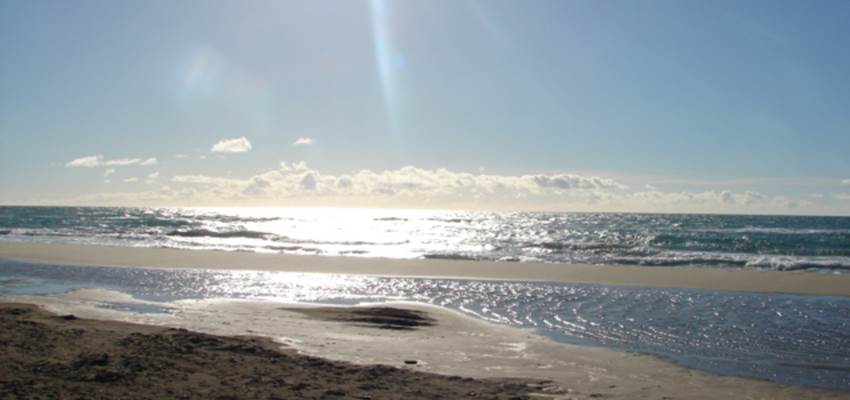Plages Camargue