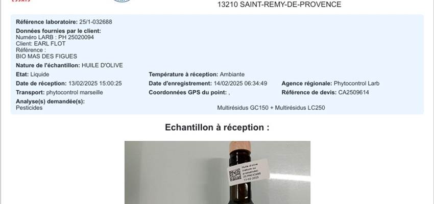 Sans titre