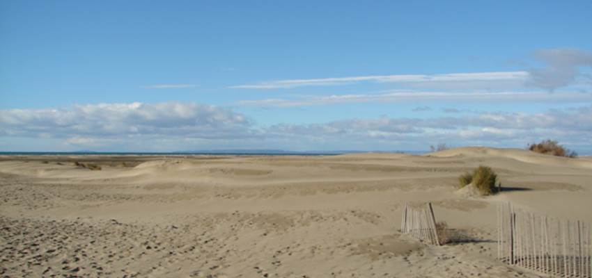 Plage Camargue
