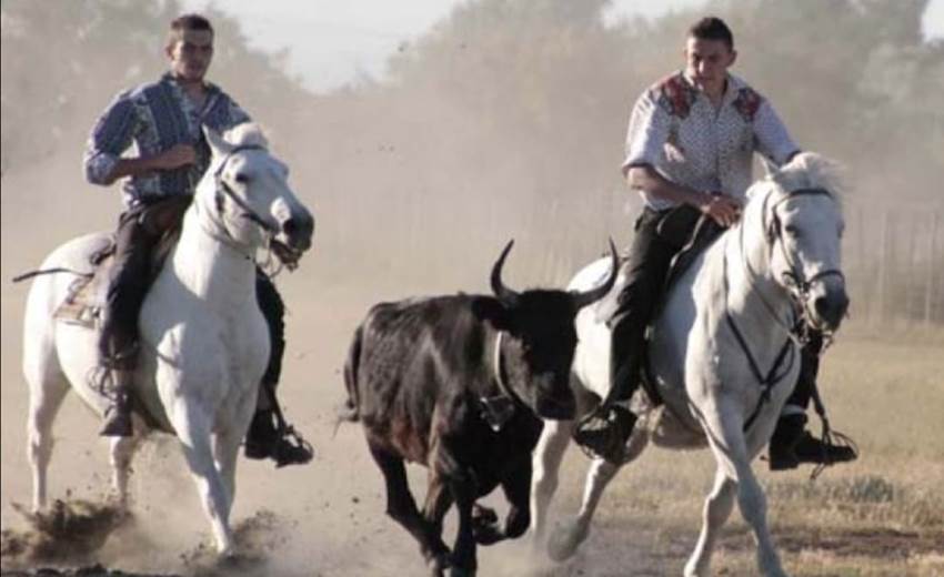 Soirée Camarguaise