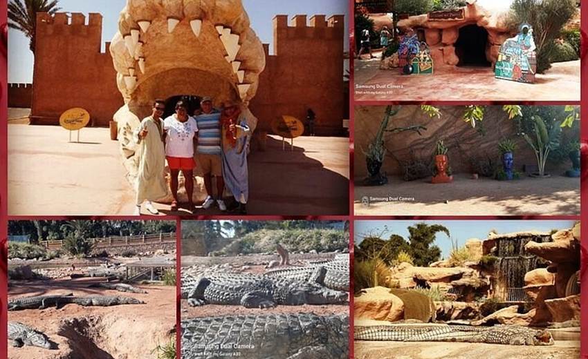 crocopark 4