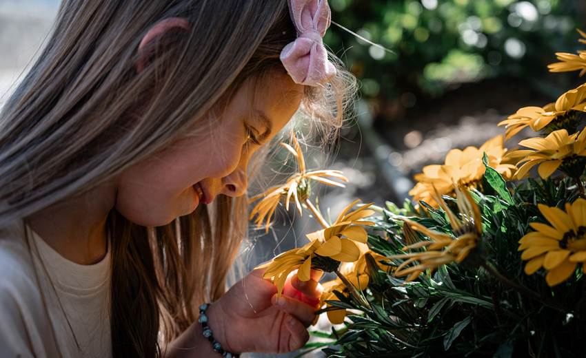 Chateau-fort-Lourdes-visite-Pyrénées-jardin-enfant