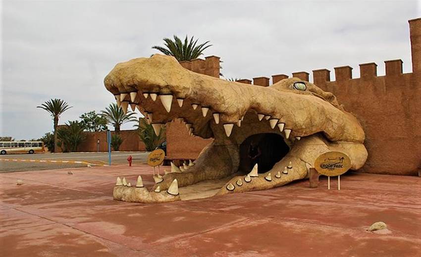 croco