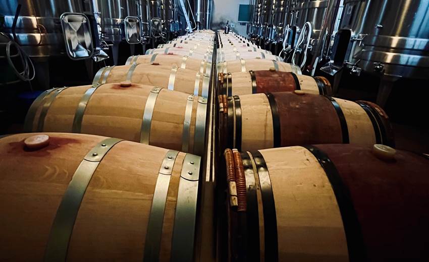 cuvier-barriques-2025