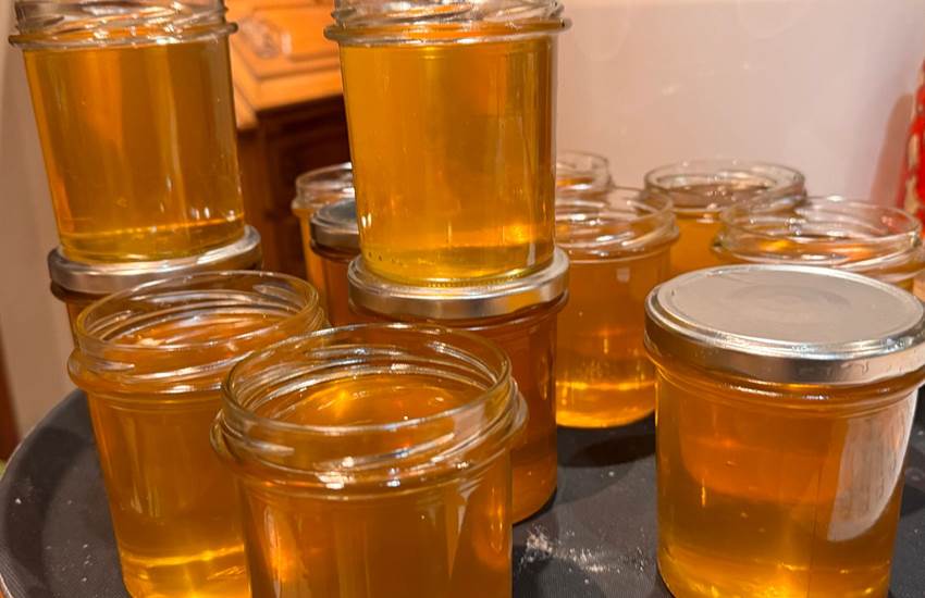 Sans titre-photo-page