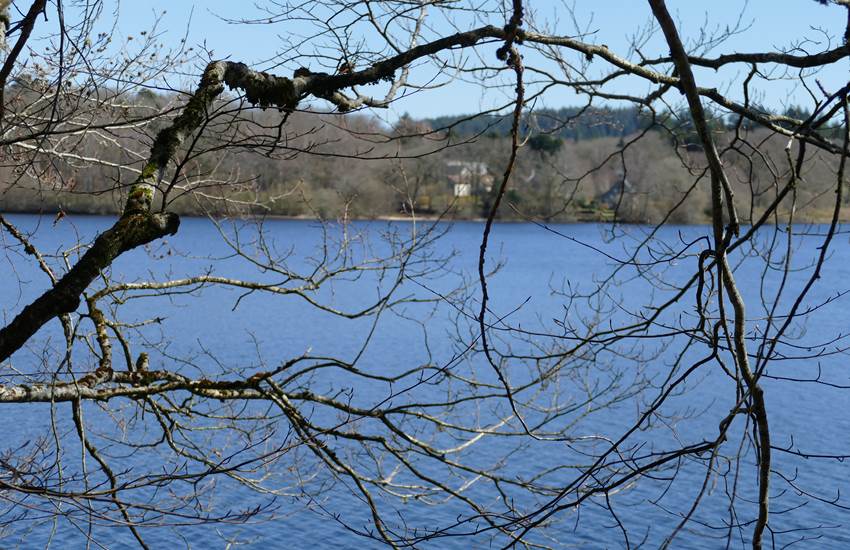 Sans titre-photo-page