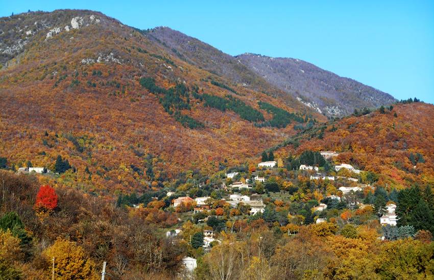 Le Pays Viganais-photo-page