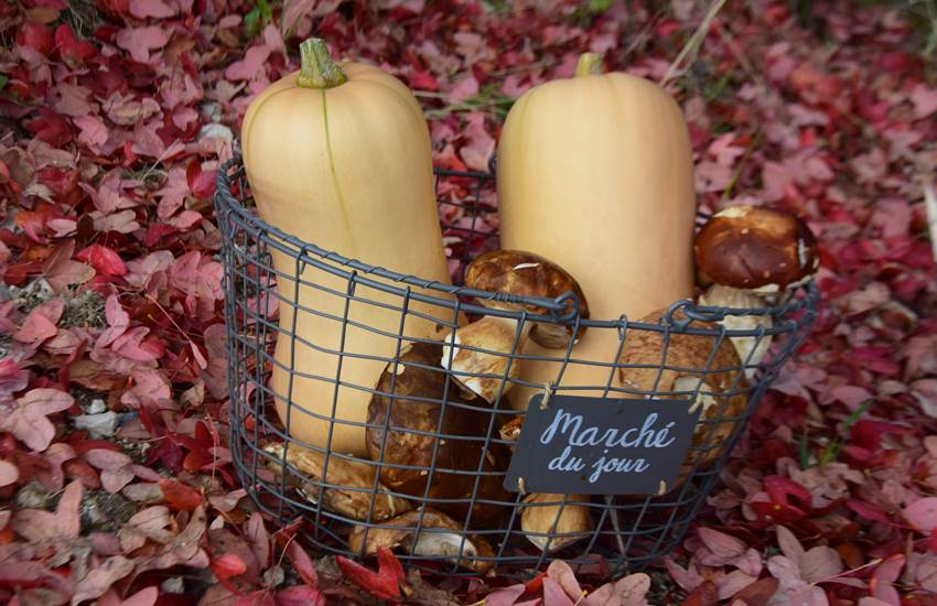 Teintes d'automne, maison d'hôtes dans le Lot-photo-page